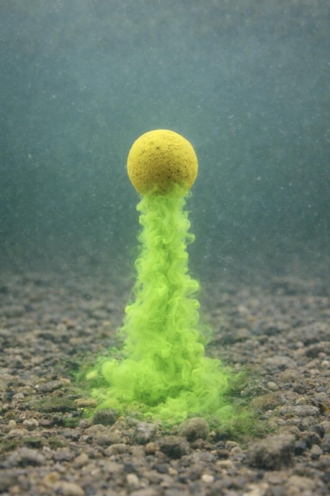 Pop up boilies green bait smoke infused high leakage8/12/15/20mm carp fishing bait (Krill, 8mm)