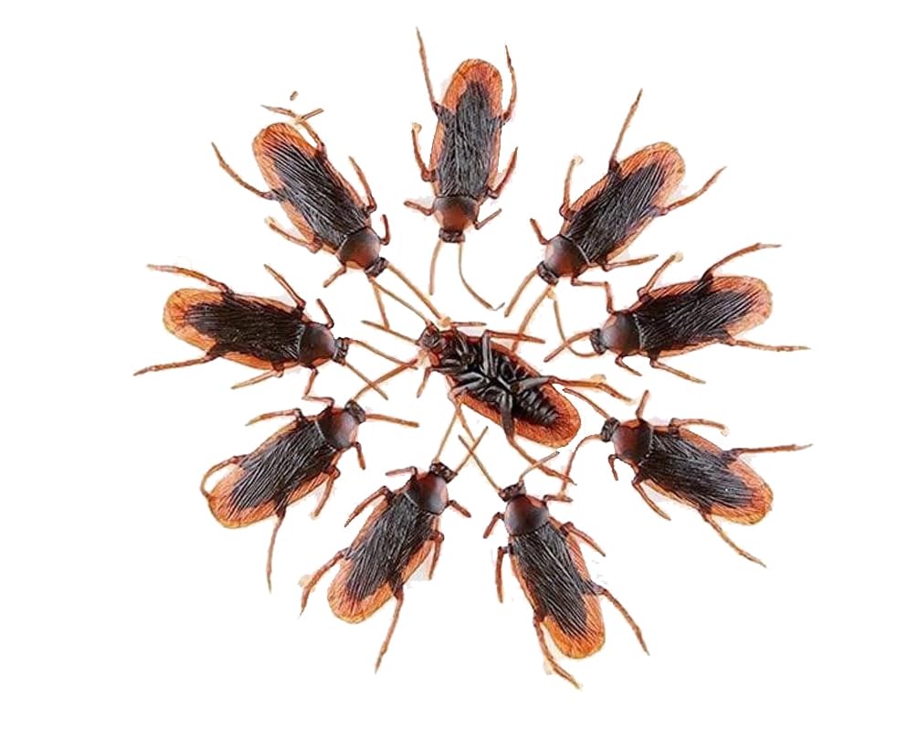 MPS MY PARTY SUPPLIERS® 10PCS Prank Fake Roaches, Favorite Trick Joke Toys Look Real, Scary Insects Realistic Plastic Bugs, Novelty Cockroach for Party, Christmas, Halloween, Blattodea InsectsToy