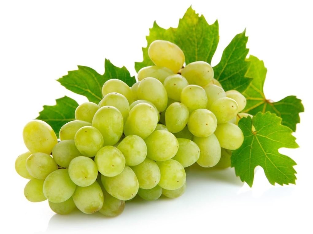See full amazon price history chart for Creative Farmer Grape Fruit Seeds Seeds For A Garden Kitchen Garden Fruit Seeds Pack Creative Farmer Grape Fruit Seeds Seeds For A Garden Kitchen Garden Fruit Seeds Pack (B075PWK1W3) Amazon Price History, Amazon Price Tracker