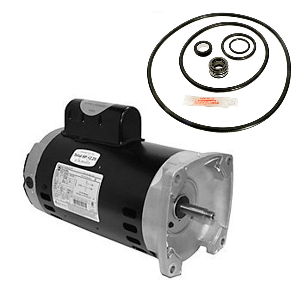 Puri Tech Replacement Motor Kit for Sta-Rite Dura-Glas II 2HP P4R6G-189L AO Smith SQ1202 with GO-KIT-38