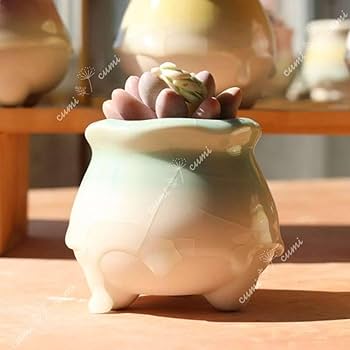 [専用] 陶器　インテリア 楽天市場】☆倉庫移転の為、総売り尽くしセール！☆ 陶器製