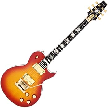 【カバー付き】Aria ProⅡ アリアプロ Amazon | AriaProII アリアプロII PEシリーズ 専用ハードケース付 PE