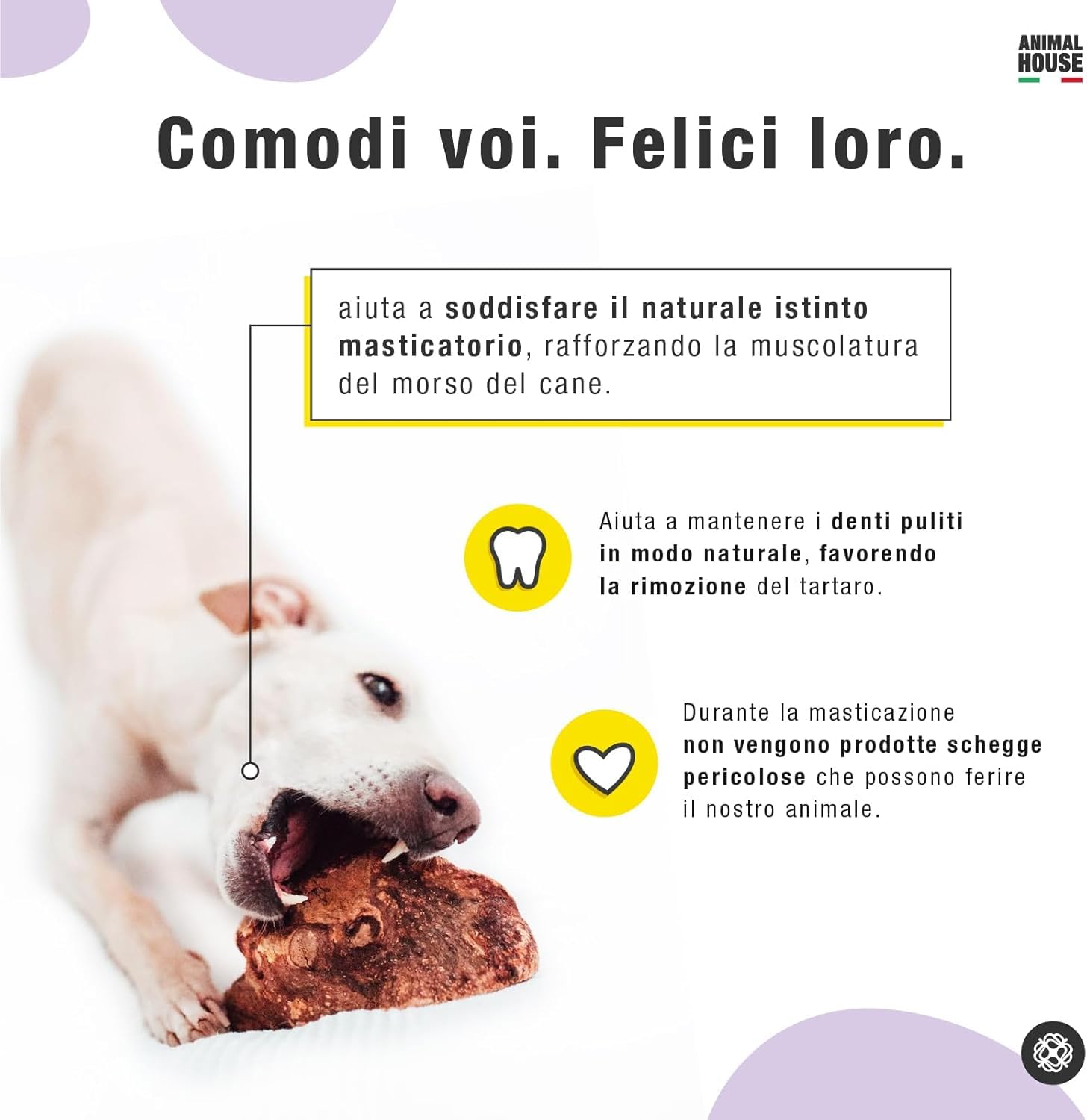Animal House Radice di Erica per Cani, Masticativo Naturale, Ottimizza l'igiene Orale, Antistress per cani, Resistente e Duraturo (L)