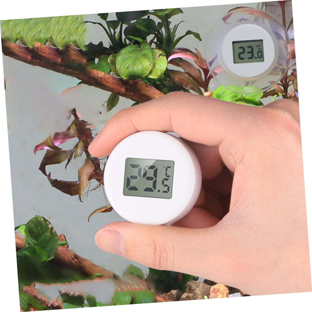 Sosoport 3 Piezas termómetro de peces Termómetro LCD pantalla LCD de ventosa hidrómetro medidor de humedad termometro digital para pecera para acuario