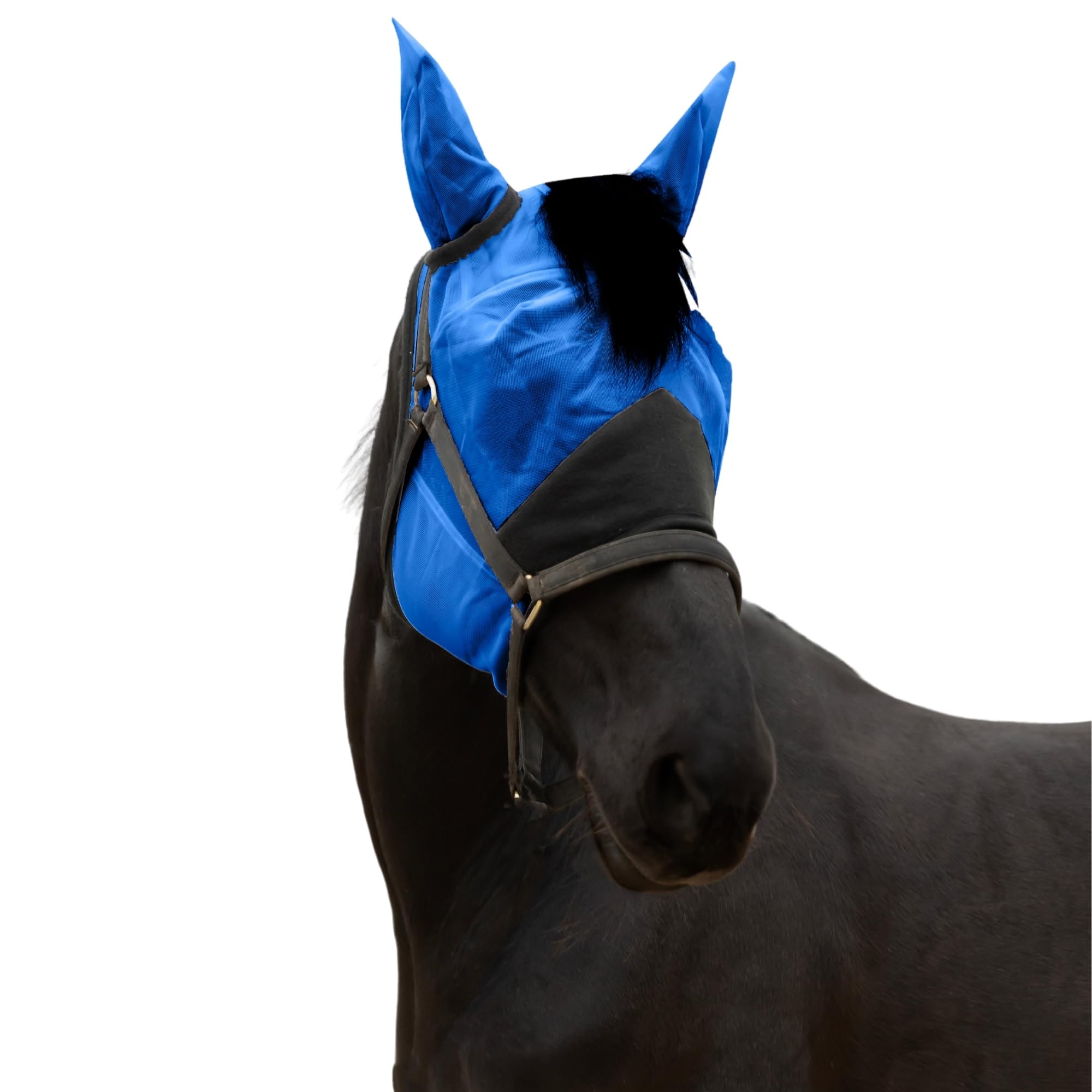 Masque anti-mouches pour cheval efficace contre les insectes avec protège-oreilles ventilé