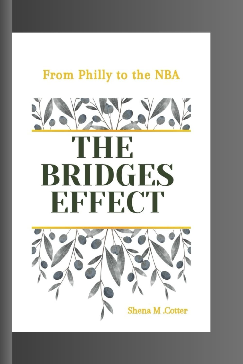 THE BRIDGES EFFECT: From Philly to the NBA