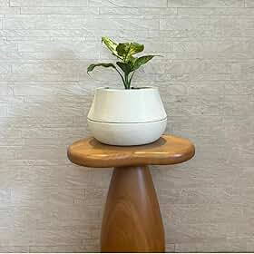 Vaso Inteligente Autoirrigável c/Reservatório – Até 90 Dias sem Regar, Tecnologia de Raízes Artificiais e Visor de Nível de Água, Leve e Resistente p/Plantas e Flores (Pequeno, Cuia)