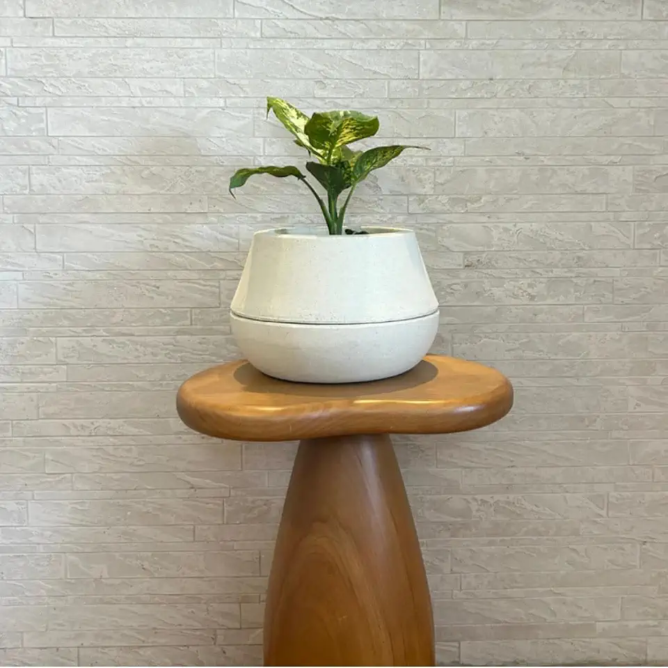 Vaso Inteligente Autoirrigável c/Reservatório – Até 90 Dias sem Regar, Tecnologia de Raízes Artificiais e Visor de Nível de Água, Leve e Resistente p/Plantas e Flores (Pequeno, Cuia)