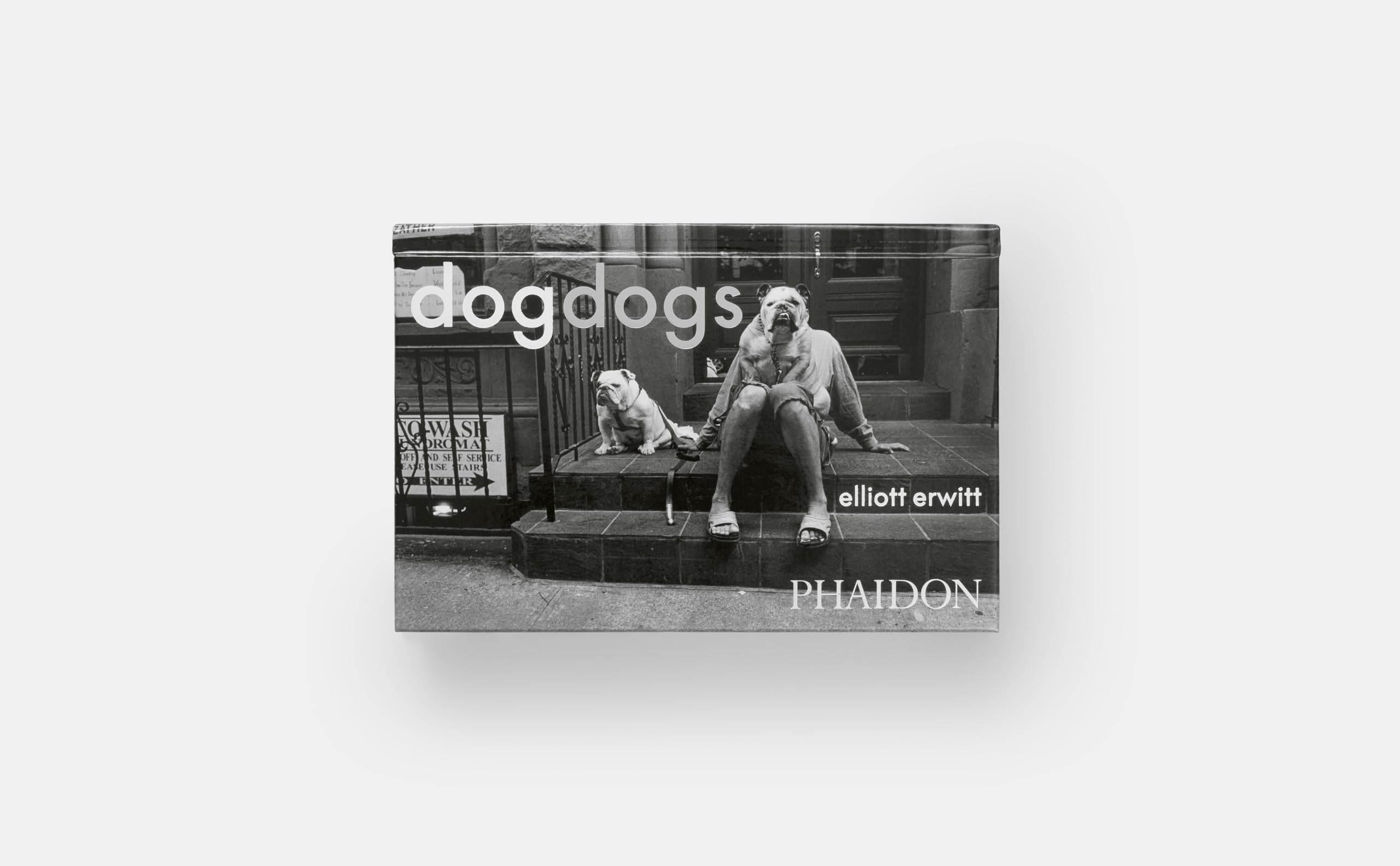 Dogdogs (PHOTOGRAPHY)