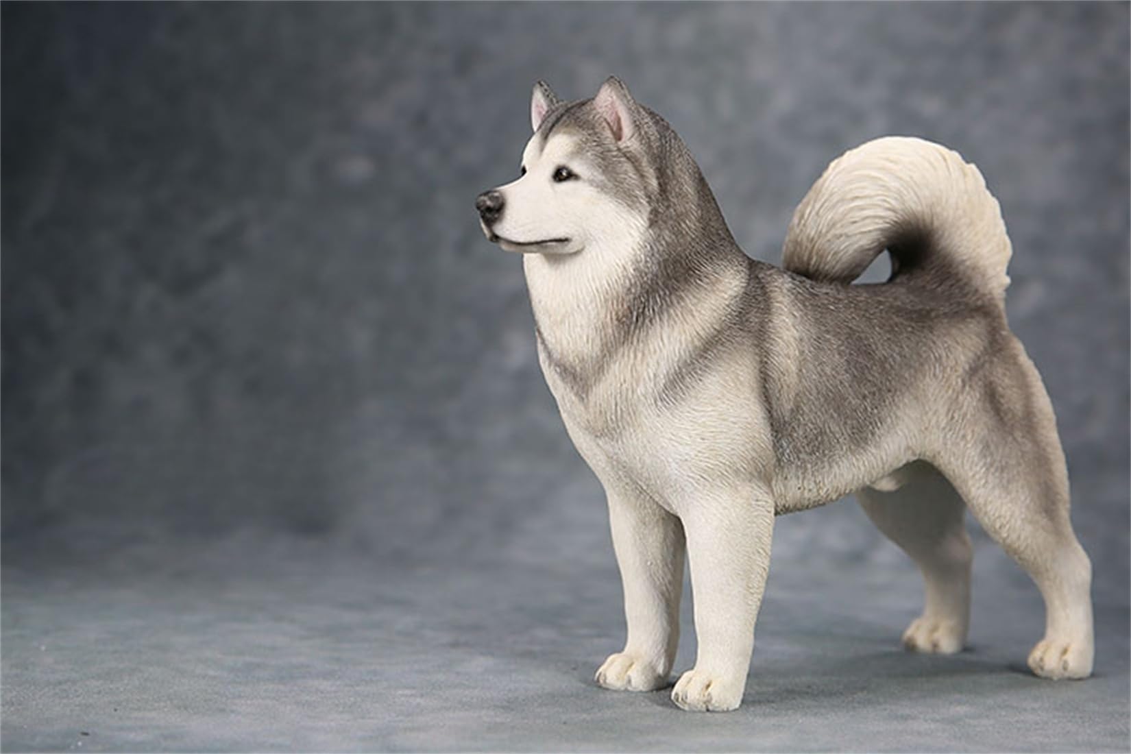 Amazon.co.jp: 1/6 サイズ アラスカン・マラミュート 可愛い 犬 動物