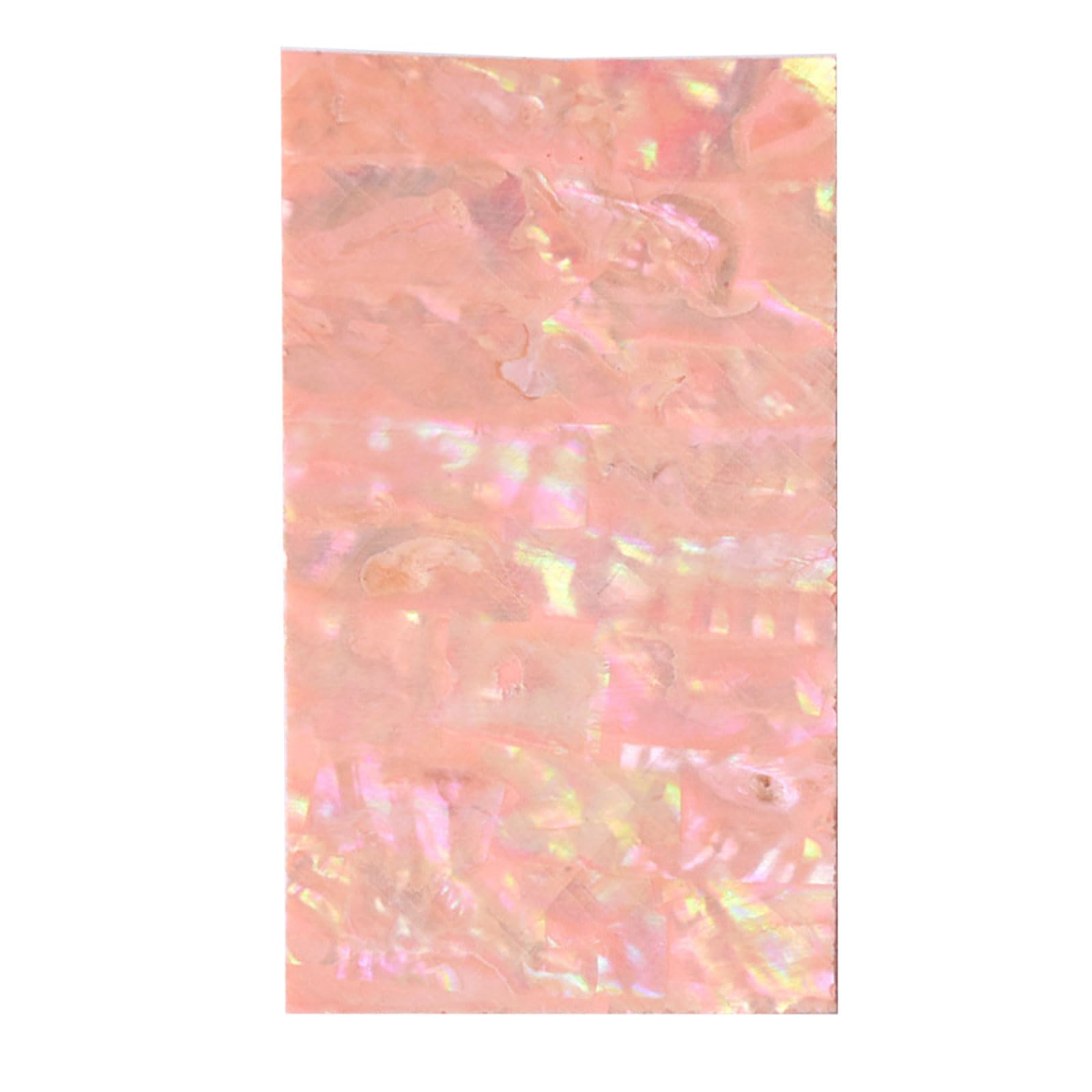 Aesthetic Sticker with Abalones Shells Pattern for Scrapbooks Photo Album Phone Case Handmade Art Craft