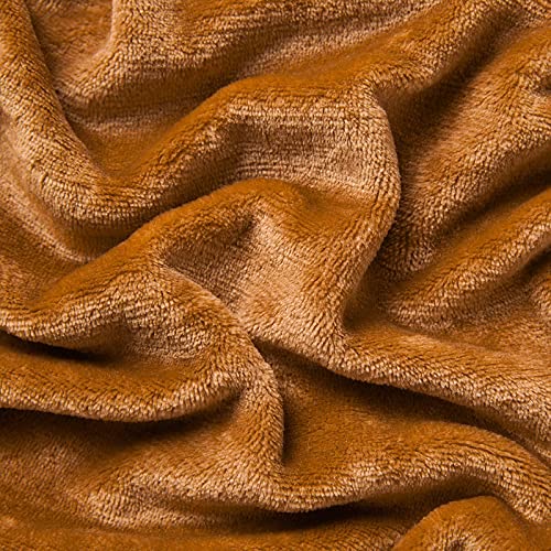 Bourina Flannel Blanket Throw Lightweight Cozy Plush Microfiber Solid Fleece Blanket,Twin 60"X80" Almond #TOP4