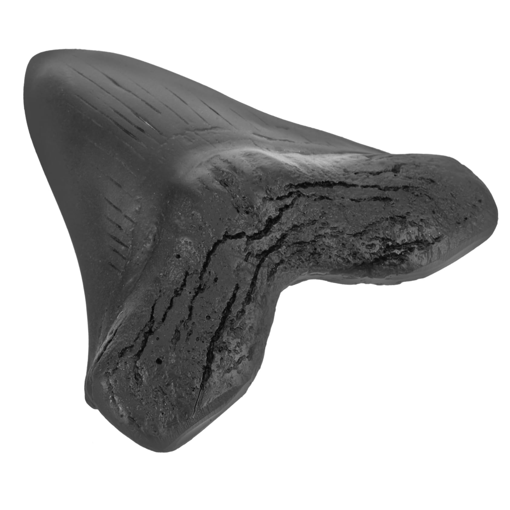 Homoyoyo Shark Model o Giant Shark Decor Paleontology Specimen for Home Decoration