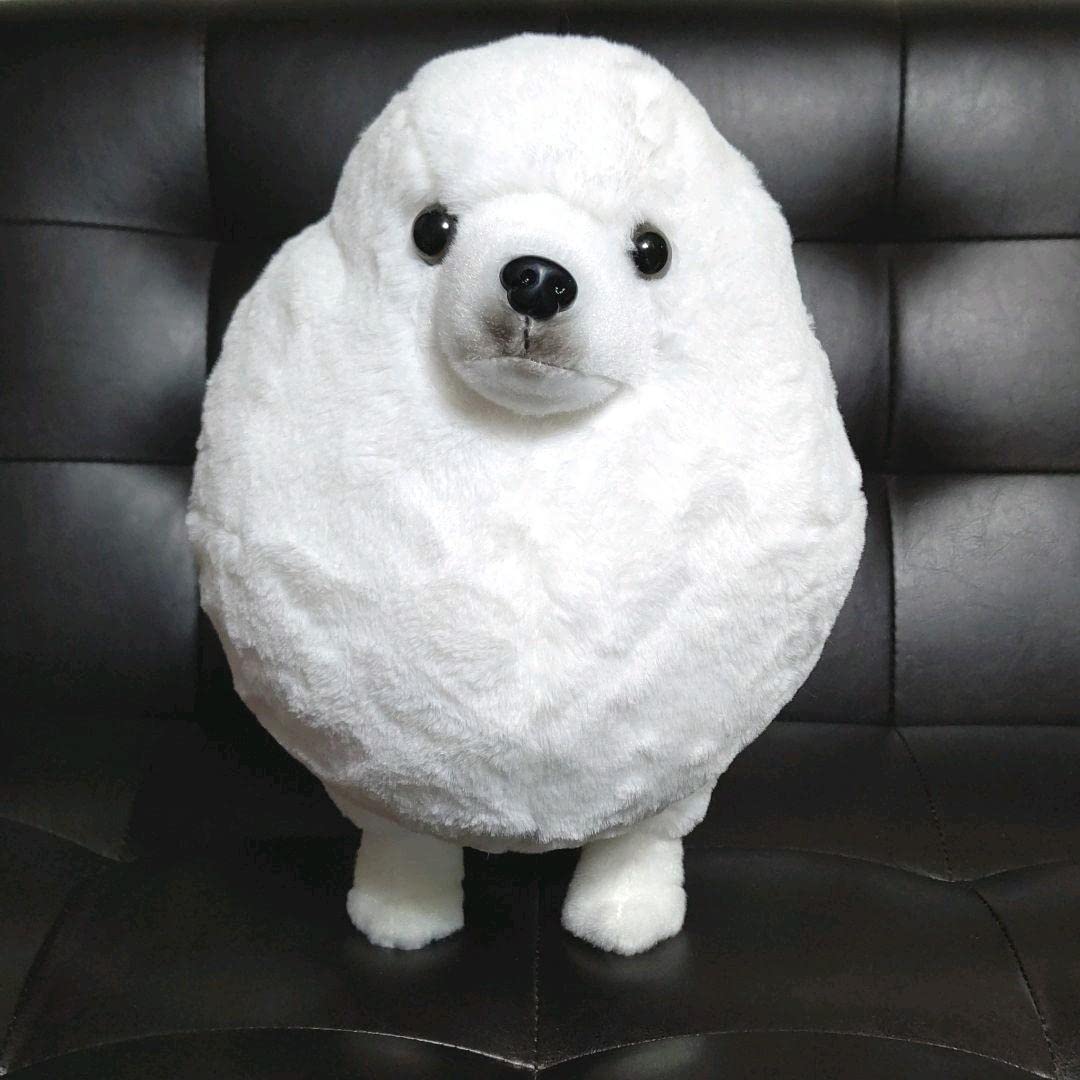 Amazon.co.jp: アザラシ犬ぬいぐるみ ヴィレッジヴァンガード