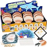 meerestiere bilder 🔆Geschenk für Kinder ab 6 Jahren: Das mitgelieferte Set mit 12 Stöcken eignet sich perfekt für eine Geburtstagsparty mit Meeresmotiven, bei der du mit deinen besten Freunden buddeln kannst. Auch ein tolles Geschenk für Meeresliebhaber und kleine Hai-Fans zu Thanksgiving, Weihnachten, Neujahr und anderen Feiertagen.