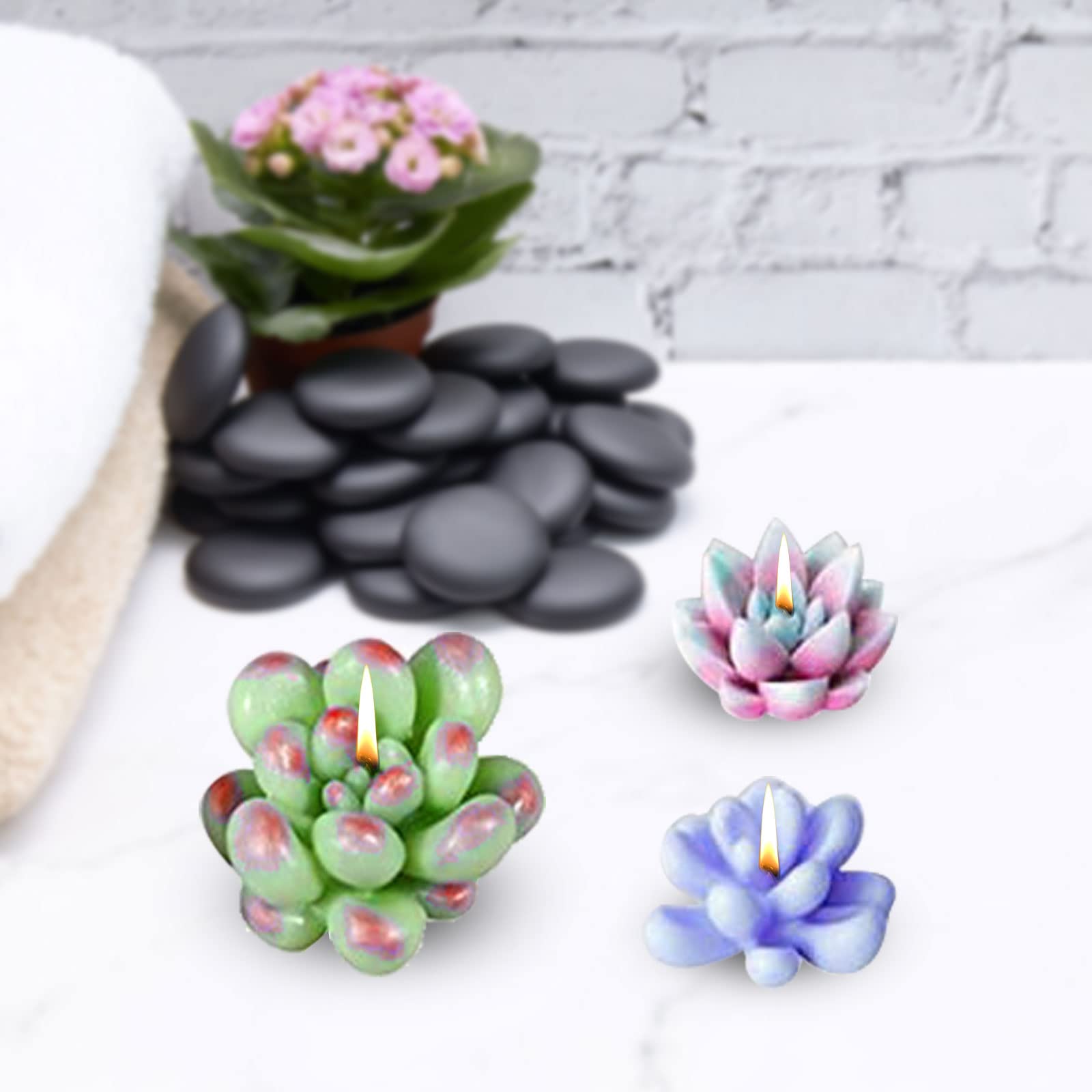 Stampo Cactus Fai Da Te - 10 Forme In Silicone Per Candele Artigianali E Resina | Creazioni 3D