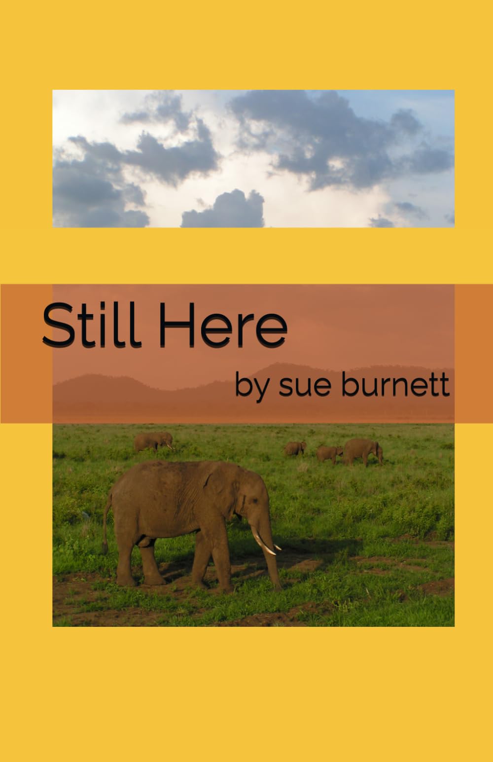 Still Here