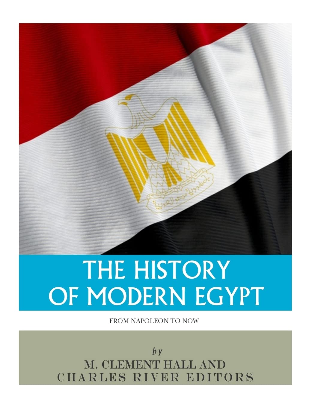The History of Modern Egypt: From Napoleon to Now