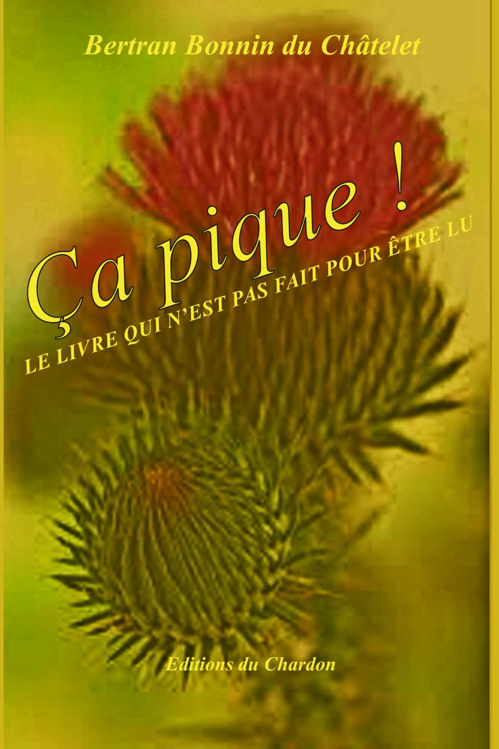 Ça pique !: Le livre qui n'est pas fait pour être lu