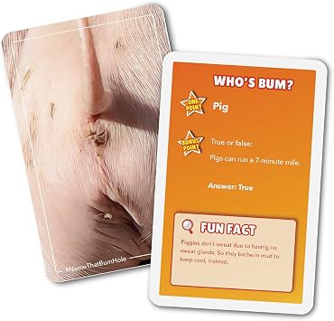 Bubblegum Stuff - Name That Bumhole - Picture Quiz, Animal Trivia Game - Playing Cards, Fun Family Card Games, Party Games - Christmas Secret Santa Ideas - 55 Flashcards