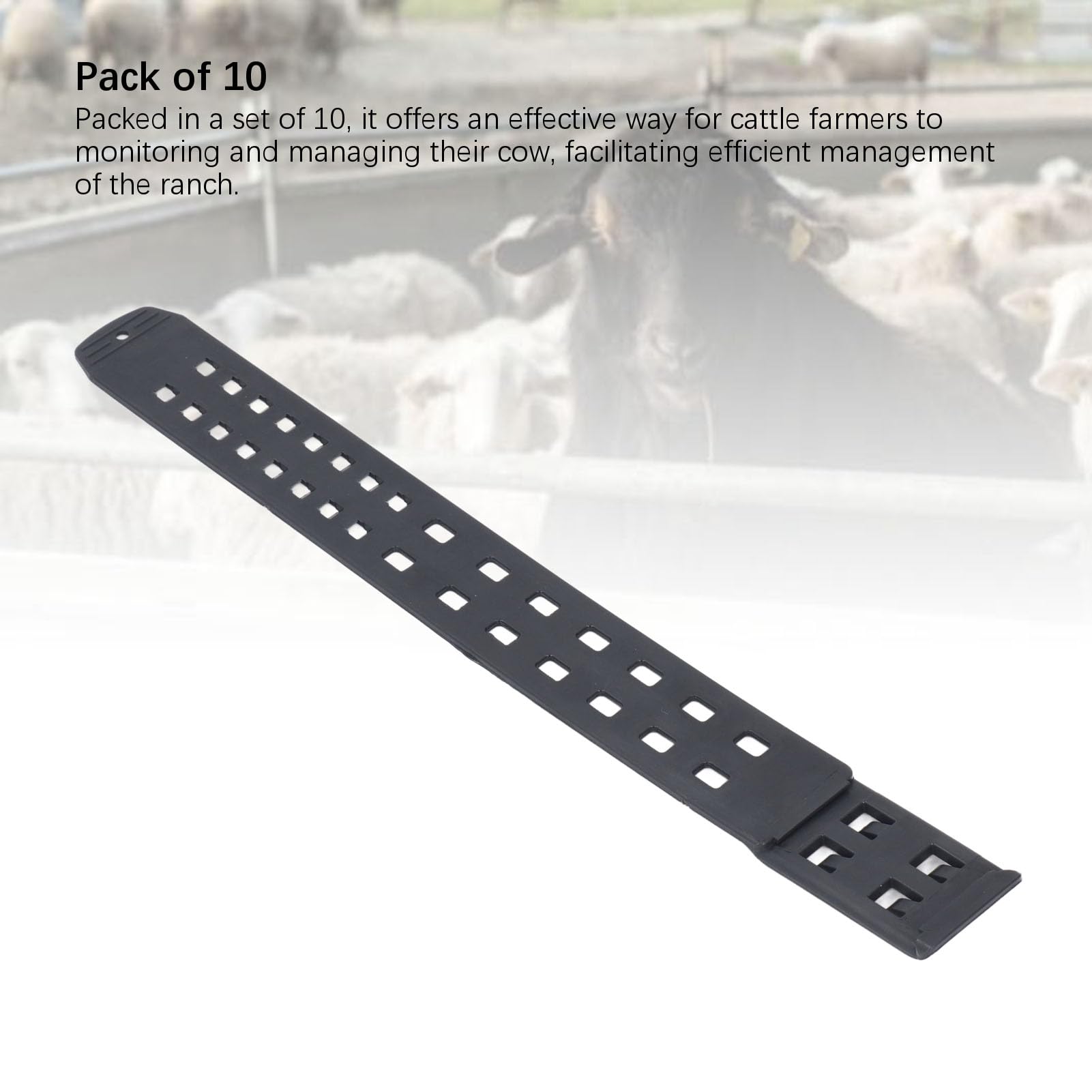 10 pièces bande de pied de vache, souple, Flexible, surveillance précise, étiquette de podomètre de vache, sangle de pied en plastique pour la gestion du bétail
