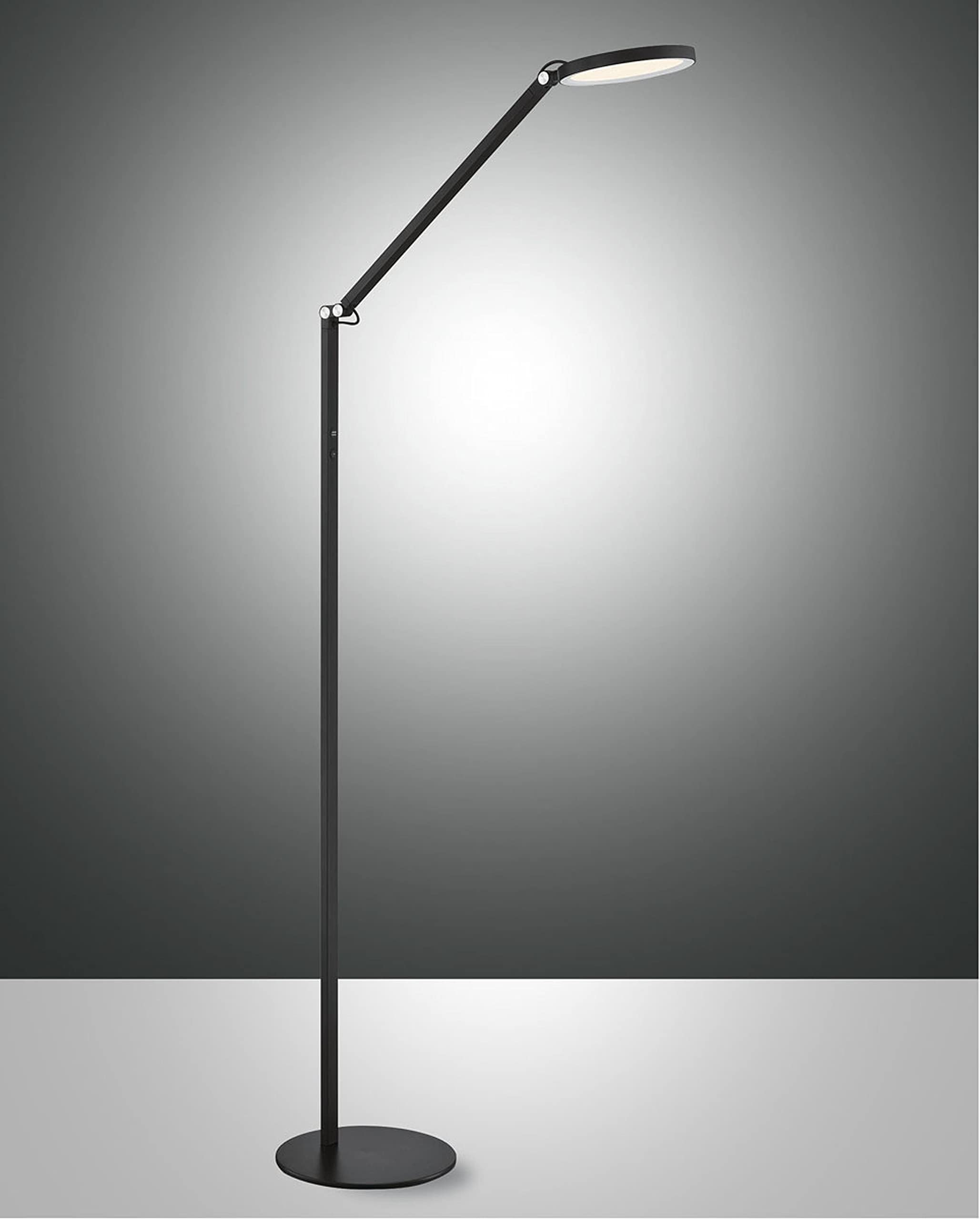 Fabas Luce Black Regina Led Integrated Floor Lamp Glass