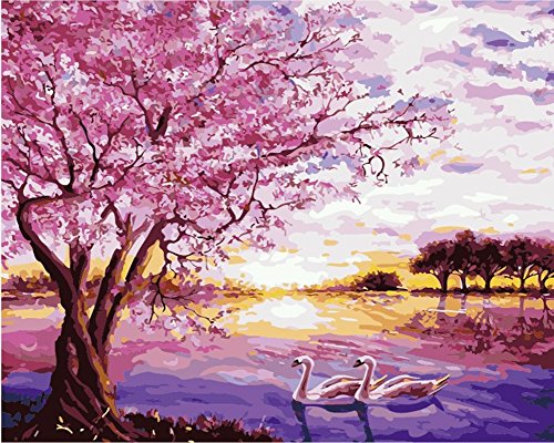 Morgofun Paint by Number Kits, DIY Paint by Numbers for Adults with Canvas Brush - Beautiful Swan Lake 16x20inch