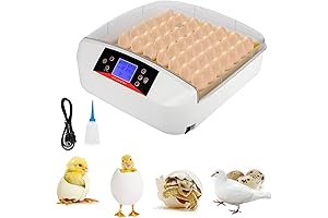 Revolutionary Egg Incubator: 56 Eggs, Automatic Turning and Temperature Control