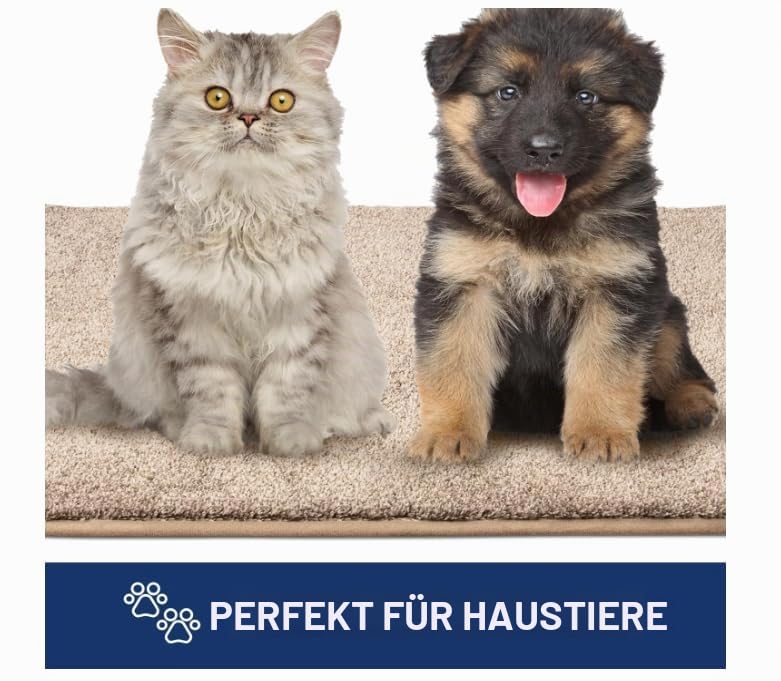 Schmutzfangmatte 90x150cm Khaki Halbrund Fussmatte Innen rutschfeste Fussmatte Aussen Fußmatte Waschbar Fußmatten Haustür Türmatte für Flur Küche Haustiere Fußmatte Außen