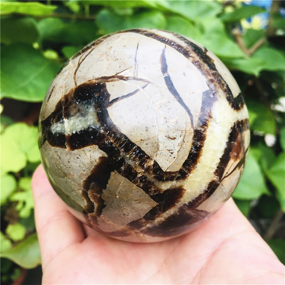 FOPURE septarian Sphere Septarium Dragon Stone Crystal Ball Ornaments (Color : 4cm)
