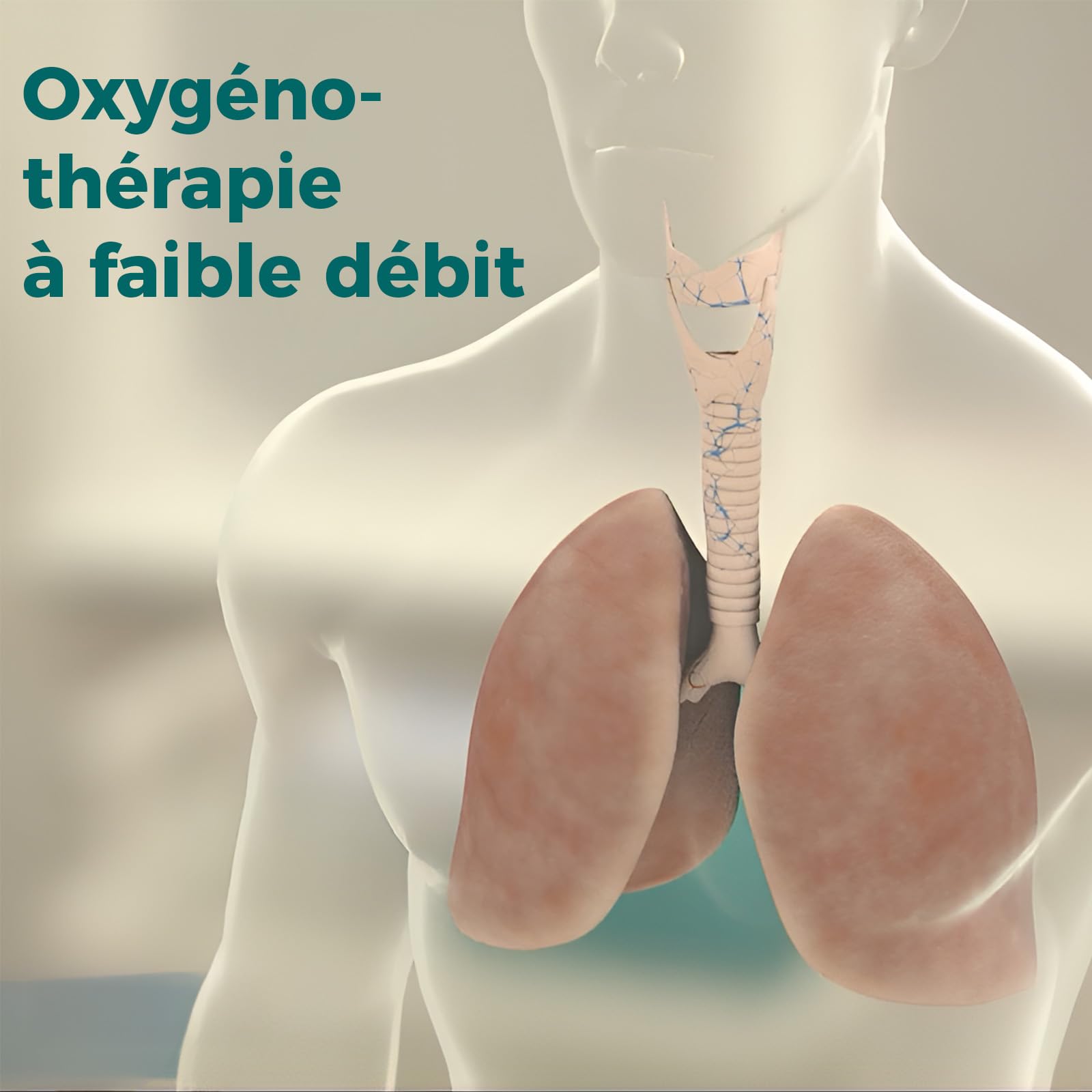 NasalOxy® – Lunettes nasales innovantes à faible débit | Plus de confort & d’efficacité | BPCO & asthme | Respiration double & apport optimal en oxygène | 2 pce - Pour commandes de test
