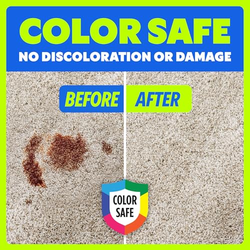 Image of Shout Carpet Set-In Stain Lifter Spray, Rug & Carpet Cleaner, Color Safe and Fast Acting Spot & Stain Remover, 22 oz Trigger Spray