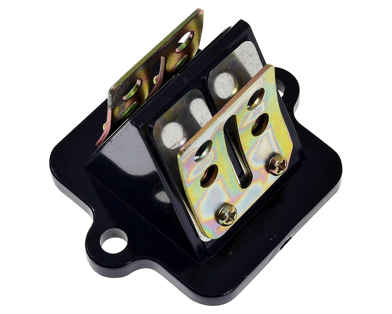 Kit d'admission ouvert compatible avec Peugeot Speedfight 3/4, JetForce | Lot: bloc clapets, joint, débridé, passage 21 millimètres; compatible avec Peugeot Citystar 50 2T AC, Citystar 50 RS 2T AC
