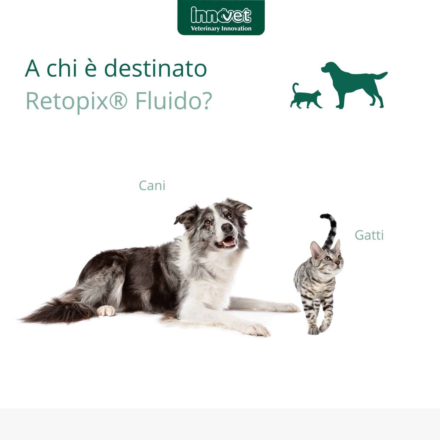 Retopix Fluido dermatologico lenitivo e idratante, in caso di Arrossamento, Desquamazione e Secchezza, per cani e gatti - Confezione 10 fialette da 2 ml