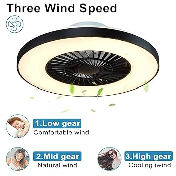 EKDADL Ceiling Fans With Lights And Remote Flush Mount Modern Indoor 19