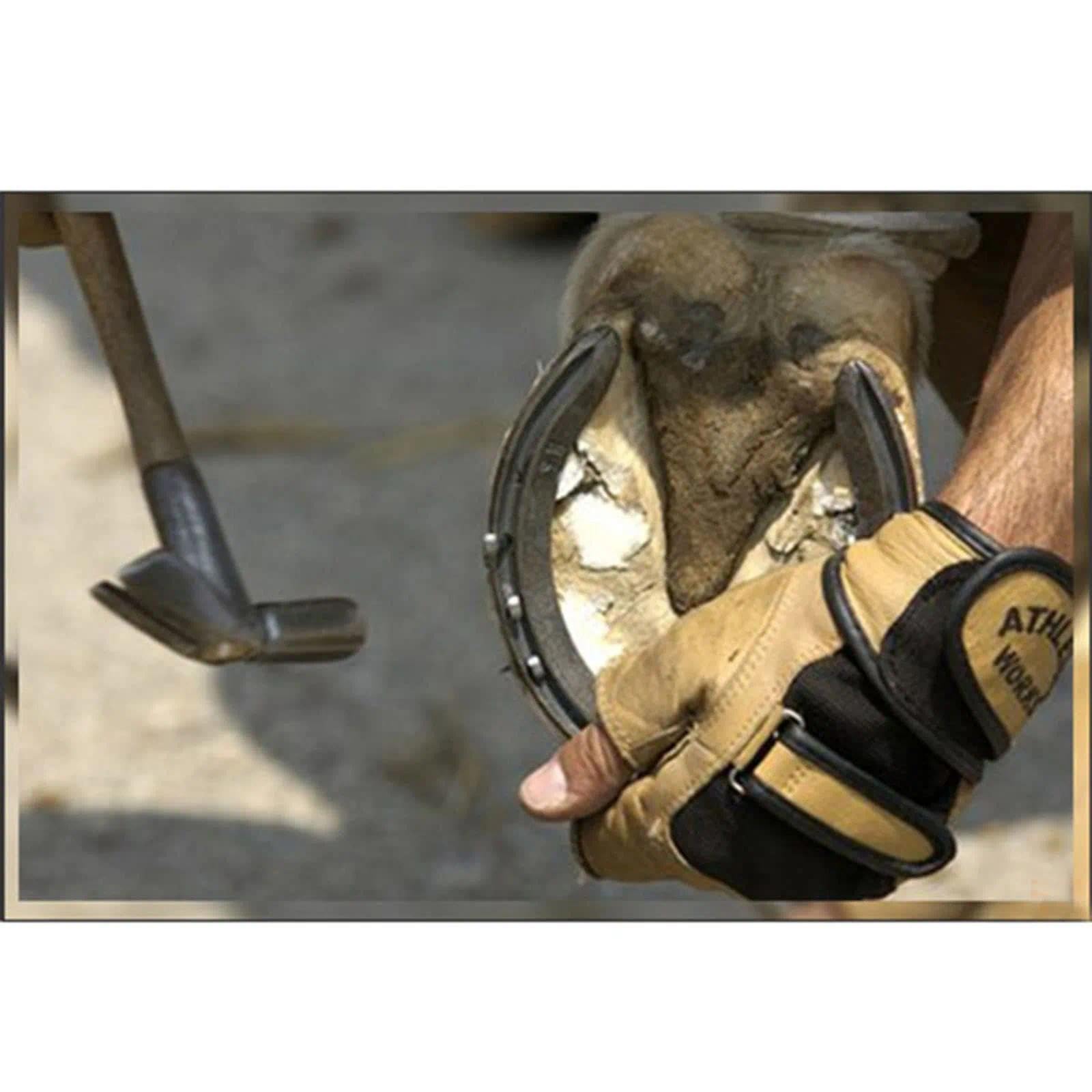 40 Piezas Clavos para Herraduras 54mm - Acero al Carbono Antioxidente - Clavos Estables para Caballos - Reparación de Herraduras/Pezuñas - Plateado