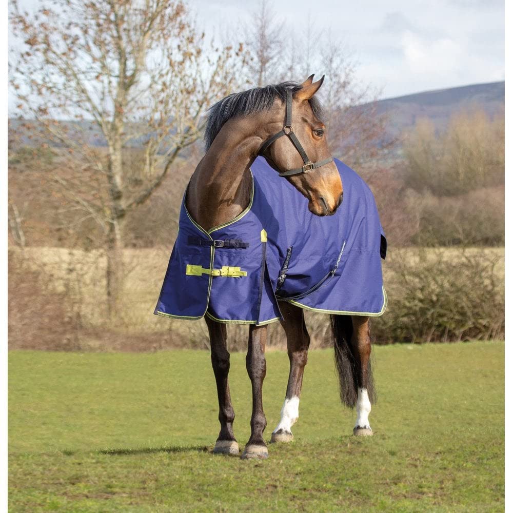 Asker 100g Horse Standard Neck Turnout Rug - Navy Blue