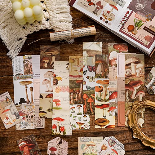 Image of emmoolife Scrapbooking Supplies Kit, Vintage Mushroom Aesthetic Scrapbook Kit for Bullet Junk Journal, Stationery, A6 Grid Notebook, DIY Journaling Supplies, Birthday Craft Gift for Teen Girl Women