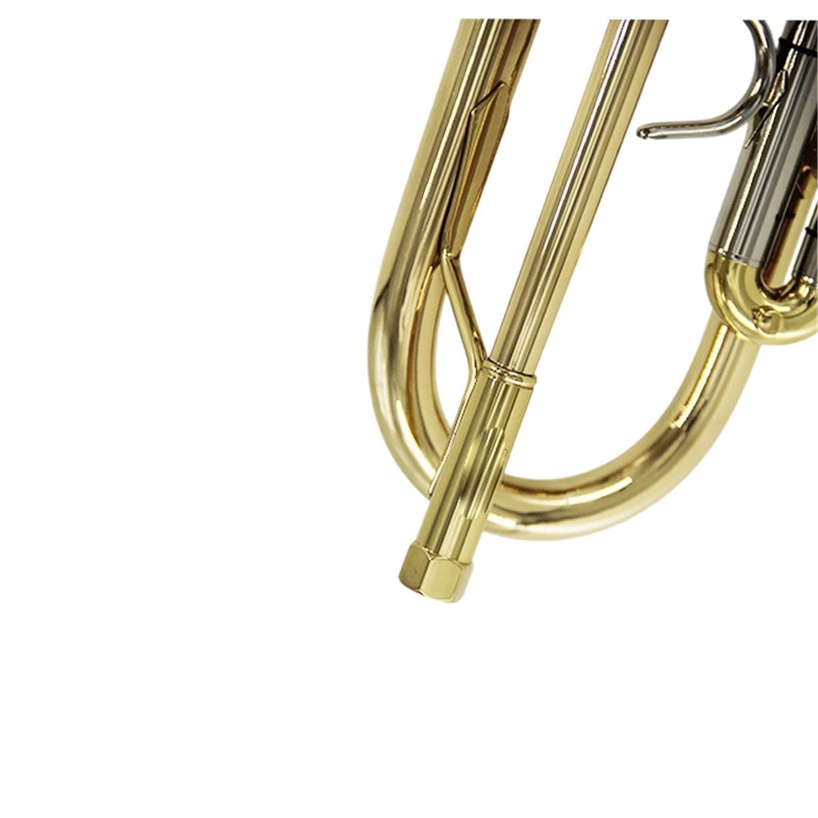 Standard Trumpet Profesjonalne wykonanieTrąbka