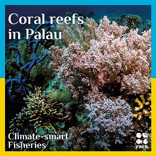 Conserving coral reefs in Palau cover art
