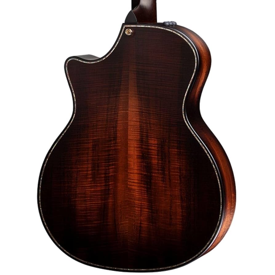 Amazon.com: Taylor K24ce Builder's Edition Grand Auditorium
