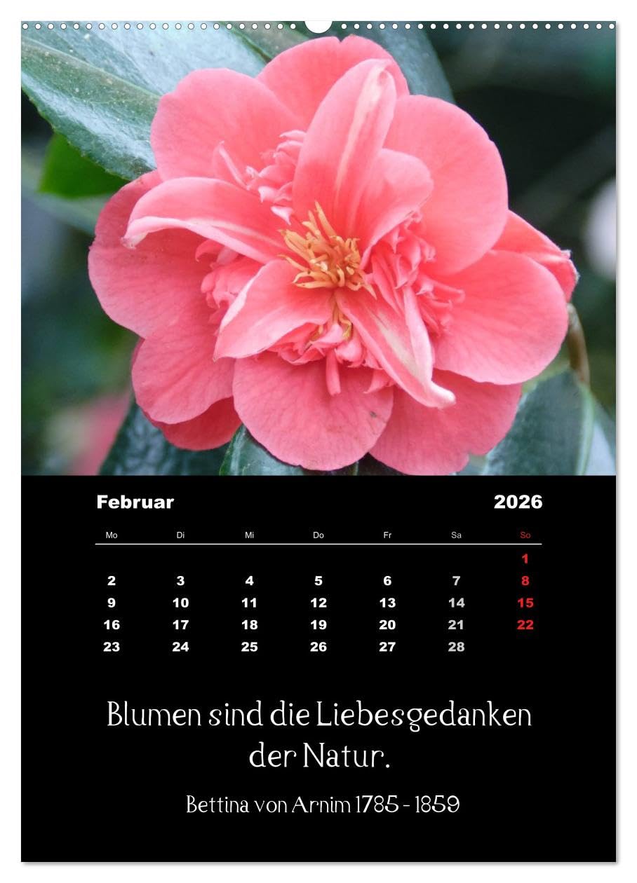 Sprüche und Zitate berühmter Personen über Blumen und Natur (hochwertiger Premium Wandkalender 2026 DIN A2 hoch), Kunstdruck in Hochglanz