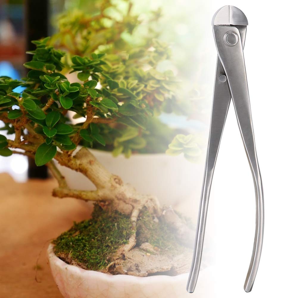 Cesoia da potatura da Giardino con Bordo Arrotondato per Tutti i Livelli di Appassionati di Bonsai e Principianti