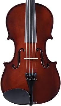 Palatino VN-350-1/8 Campus Violin Outfit, 1/8 Size