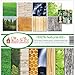 Ella & Viv by Reminisce EAV-923 Ella & Viv 100% Natural Scrapbook Collection Kit, 12x12 inches, Multicolor
