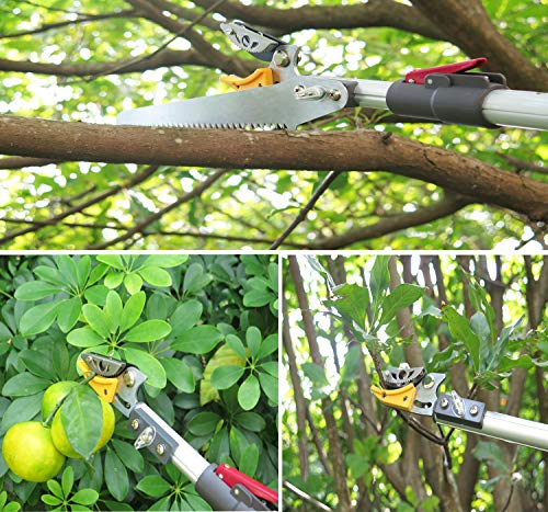Mesoga 6-10 Foot Tree Pruner 2 Sections Extendable 4 Nodes Adjustable, Cut And Hold Pruning Trimmer, Long Reach Pole Saw, Telescoping Fruit Picker, Branches Bypass Lopper With Hook #TOP4