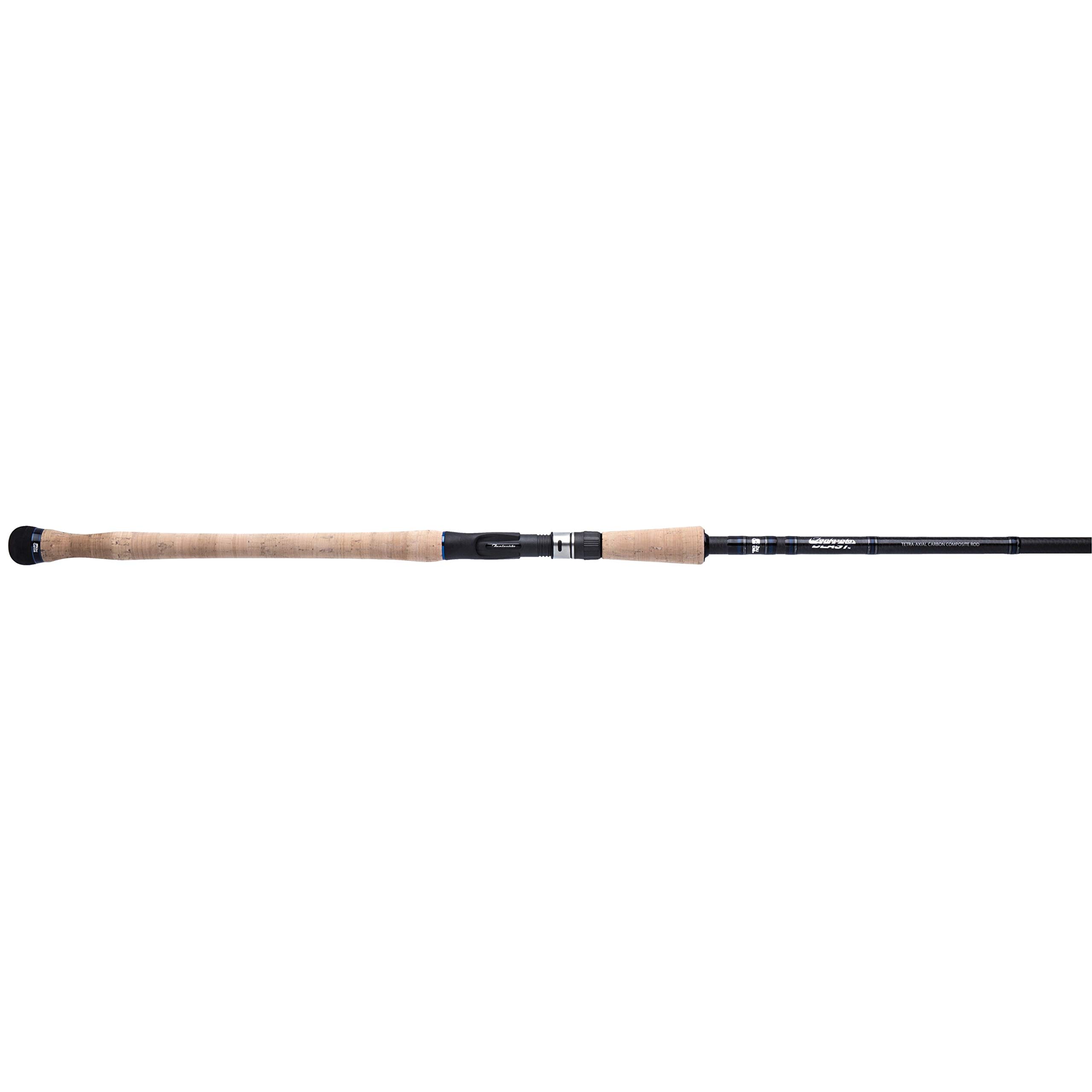 daiwa castizm reel 19 CAST'IZM FEEDER 25QD*** A new long distance reel has arrived. In stock  now. RRP 250