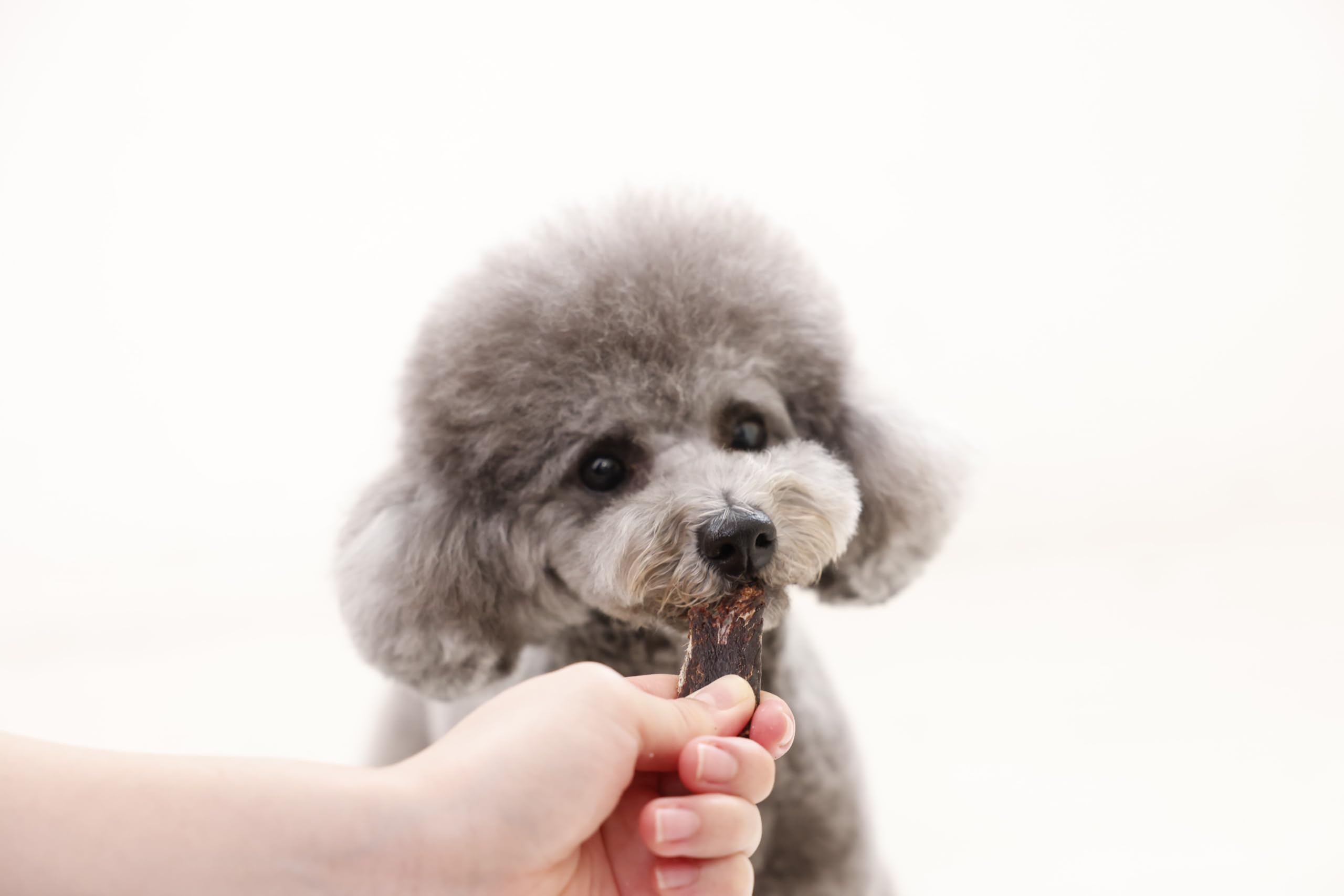 Amazon | 花畑牧場 エゾ鹿肉ジャーキー 400g 犬用 おやつ 無添加 国産