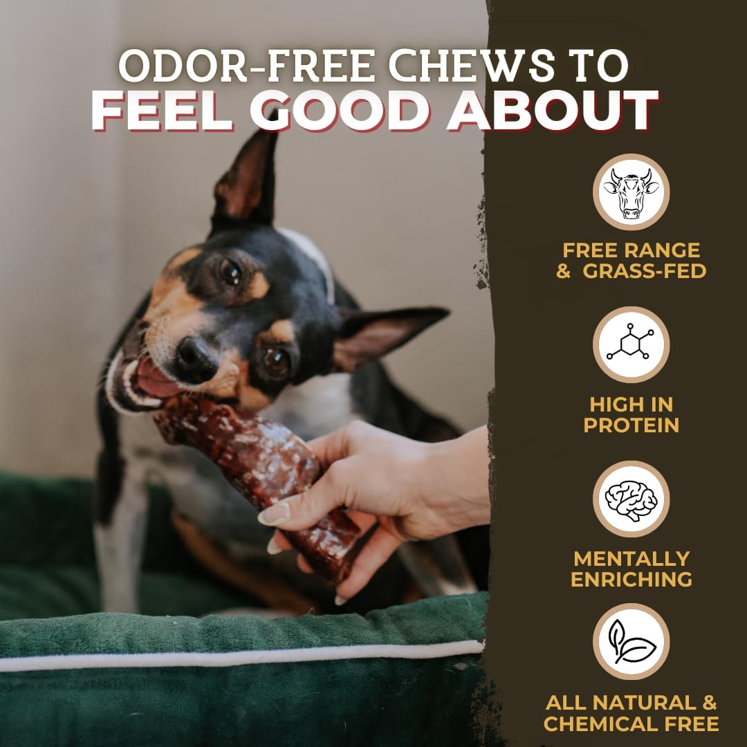 Bully Bunches Beef Trachea Wrapped in Jerky Dog Chews - Long Lasting Natural Dog Treats for Medium & Large Dogs, High Protein Crunchy Chew with Natural Collagen & Joint Support (6" (Pack of 8), Beef)