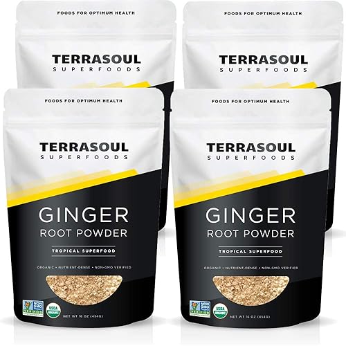 Terrasoul Superfoods - Polvo de jengibre orgánico